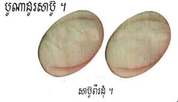 មេរៀនទី៤៩ ប្រកបនឹង ញ ញ់ (ត)